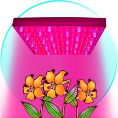 Led lempa