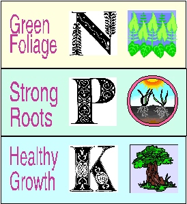 NPK proporcijos