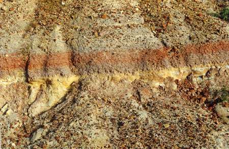 Mineralinės medžiagos